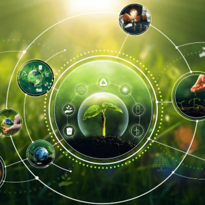 ESG & Sustainability Frameworks