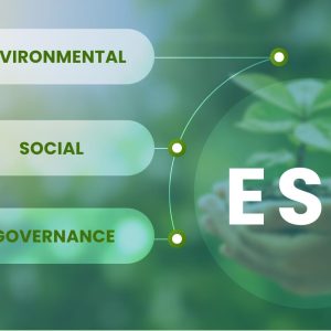 ESG & Sustainability Reporting Formats